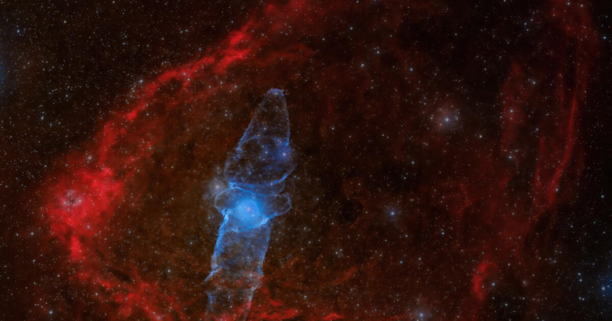 Flying Bat and Squid Nebula Telescope Live